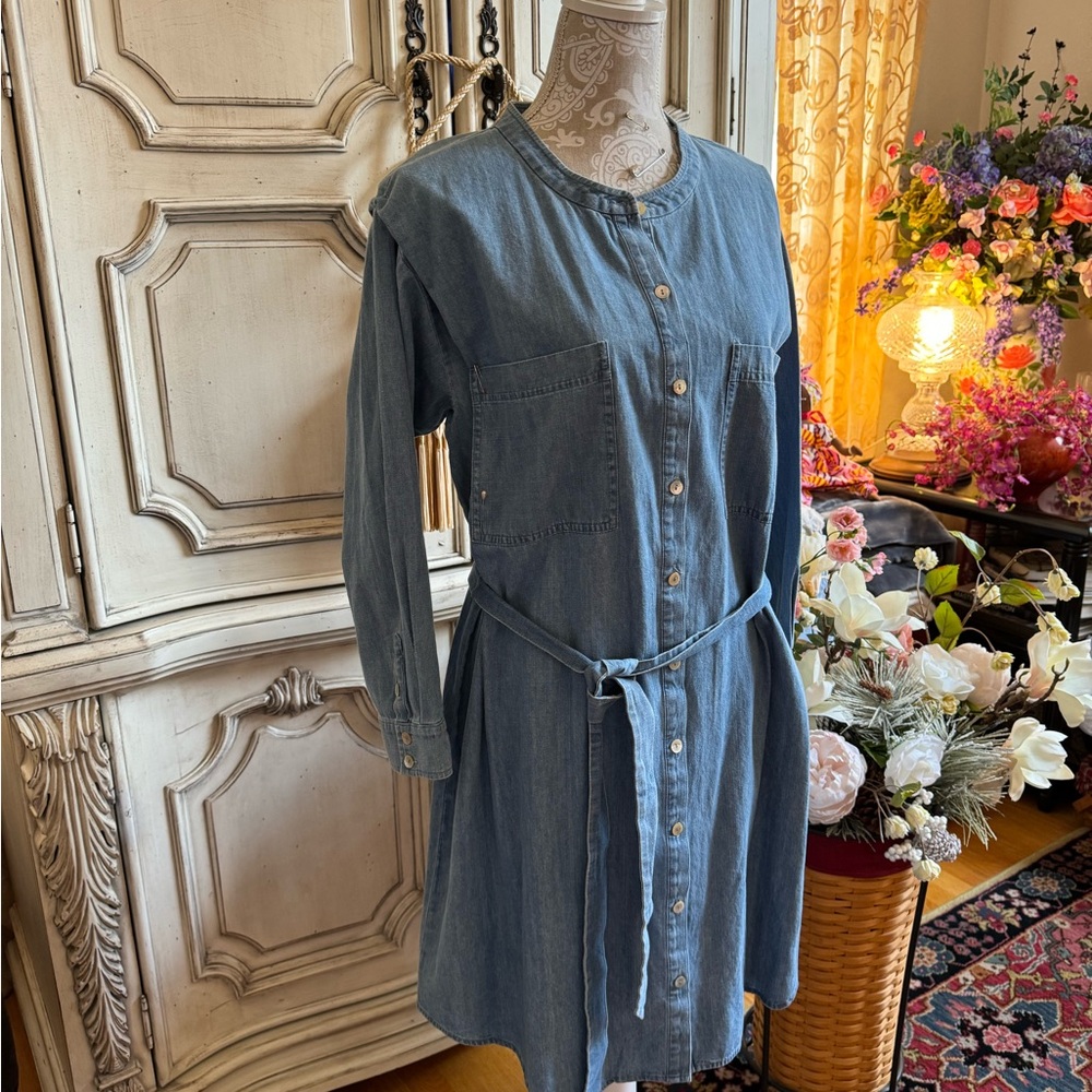EILEEN FISHER DRESS DRAPERY DENIM BEAUTIFUL DETAIL BUTTON DOWN FRONT NWT S/EX LG